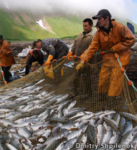 20120112d.jpg