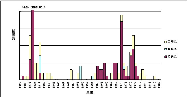 kuma20110112c.jpg