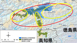 kuma20110112ks.jpg