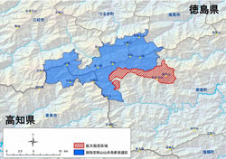 kuma20110112ls.jpg