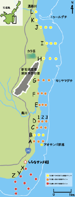 20120220shiraho9.jpg