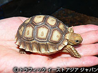 20120222b.jpg