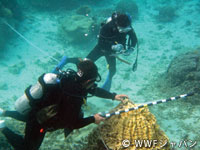 20120227b.jpg
