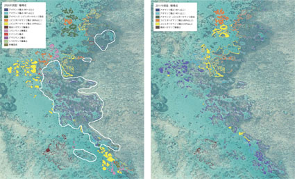 20120227shiraho33.jpg