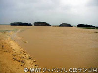 20120227shiraho_01.jpg