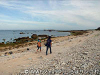 20120227shiraho_08.jpg