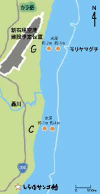 20120227shiraho_17.jpg