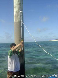 20120227shiraho_30.jpg