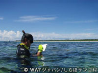 20120227shiraho_31.jpg