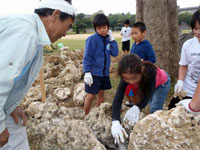 20120424j.jpg