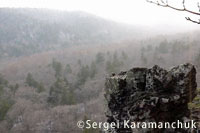 20120511b.jpg