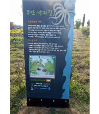 20120619a.jpg