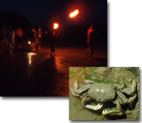 20120619f.jpg