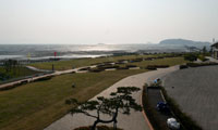 20120619g.jpg