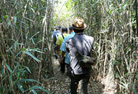 20120619j.jpg
