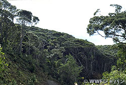 20121011b.jpg
