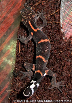 20121011e.jpg