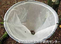 20121119l.jpg