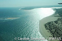 20121129wwf_us.jpg