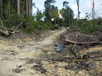 20121213sma1.jpg