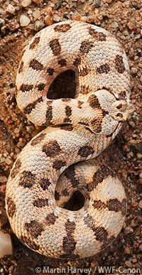 20130101b.png