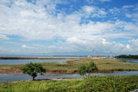 20130222d.jpg