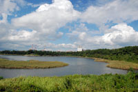 20130222e.jpg