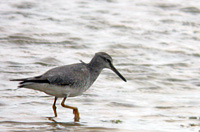 20130122as.jpg