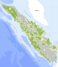 sumatra_important_ecosystem.jpg