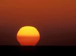 (C)WWF/Fritz POLKING  