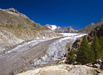 (C)Pro Natura Zentrum Aletsch/Laudo Albrecht