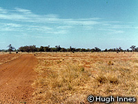 20070615b.jpg