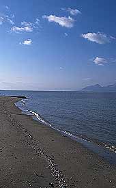 海洋の保全