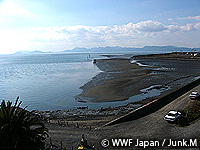 20100211b.jpg