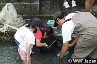 201004biwako03.jpg