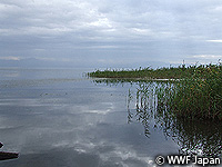 201004biwako05.jpg