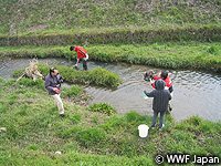 201004biwako14.jpg