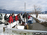201004biwako16.jpg
