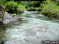 201004biwako17.jpg