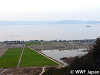 201004biwako20.jpg