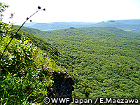20100712c.jpg