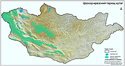 20100906j.jpg