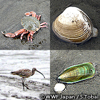 20100917a.jpg