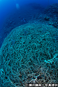 20100930a.jpg