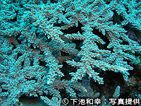 20100930c.jpg