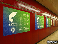 201010125l.jpg