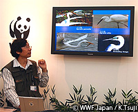 20101020h.jpg
