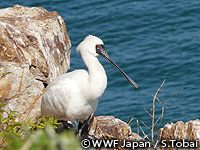 20101020k.jpg