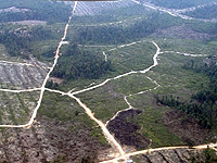 20101022a.jpg