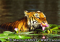 20101112a.jpg